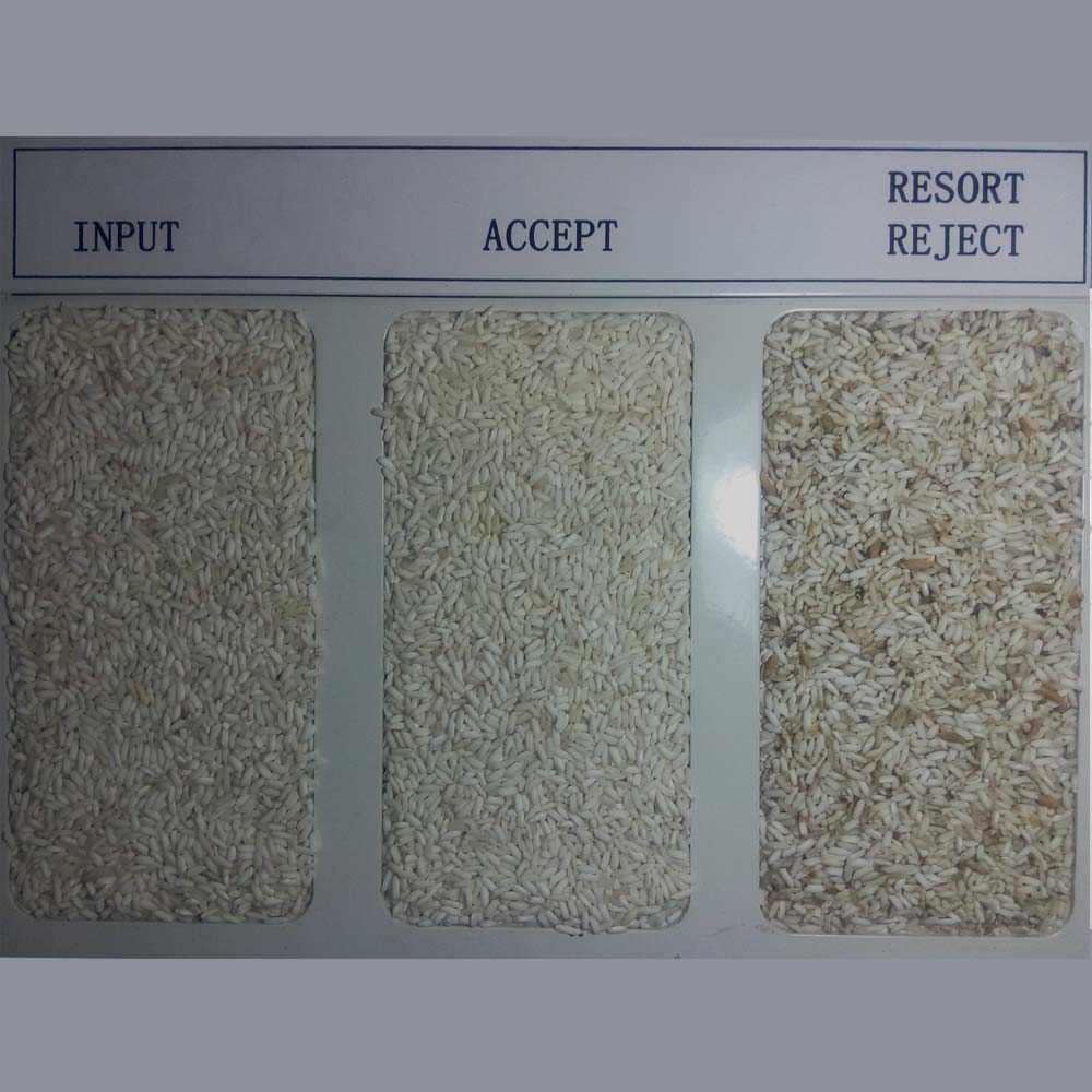 Kết quả phân loại màu hạt gạo nếp