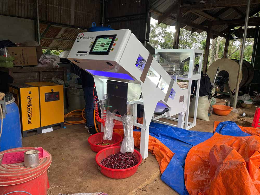 bàn giao máy bắn màu cà phê tươi SG-WB300s