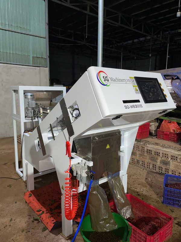 bàn giao máy bắn màu cà phê tươi SG-WB300S